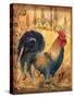 Tuscan Rooster I-Todd Williams-Stretched Canvas