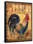 Tuscan Rooster I-Todd Williams-Framed Stretched Canvas