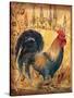 Tuscan Rooster I-Todd Williams-Stretched Canvas