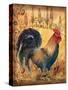 Tuscan Rooster I-Todd Williams-Stretched Canvas