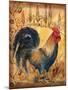 Tuscan Rooster I-Todd Williams-Mounted Art Print