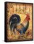 Tuscan Rooster I-Todd Williams-Framed Stretched Canvas