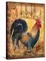 Tuscan Rooster I-Todd Williams-Stretched Canvas