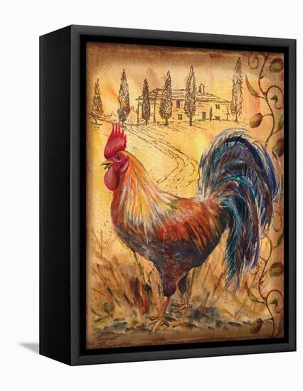 Tuscan Rooster II-Todd Williams-Framed Stretched Canvas