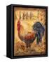 Tuscan Rooster II-Todd Williams-Framed Stretched Canvas