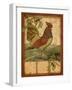 Tuscan Rooster II-Paul Brent-Framed Art Print