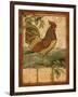 Tuscan Rooster II-Paul Brent-Framed Art Print