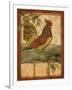 Tuscan Rooster II-Paul Brent-Framed Art Print