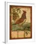 Tuscan Rooster II-Paul Brent-Framed Art Print