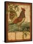 Tuscan Rooster II-Paul Brent-Framed Stretched Canvas