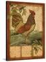 Tuscan Rooster II-Paul Brent-Stretched Canvas