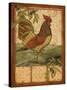 Tuscan Rooster II-Paul Brent-Stretched Canvas