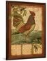 Tuscan Rooster II-Paul Brent-Framed Art Print