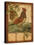 Tuscan Rooster II-Paul Brent-Stretched Canvas