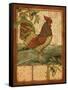 Tuscan Rooster II-Paul Brent-Framed Stretched Canvas