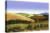 Tuscan Sky-Michael Swanson-Stretched Canvas