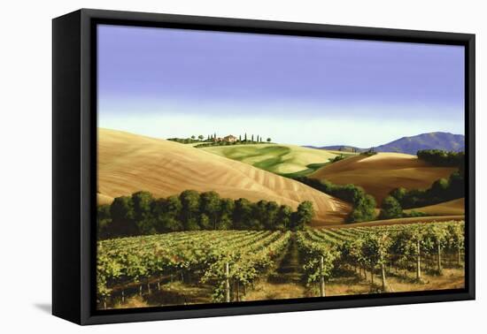 Tuscan Sky-Michael Swanson-Framed Stretched Canvas