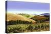 Tuscan Sky-Michael Swanson-Stretched Canvas
