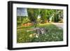 Tuscan Sleepy Cat-Robert Goldwitz-Framed Photographic Print