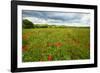 Tuscan Spring Meadow with Poppies-George Oze-Framed Photographic Print