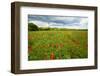 Tuscan Spring Meadow with Poppies-George Oze-Framed Photographic Print