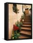 Tuscan Staircase, Italy-Walter Bibikow-Framed Stretched Canvas