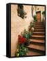 Tuscan Staircase, Italy-Walter Bibikow-Framed Stretched Canvas