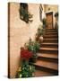 Tuscan Staircase, Italy-Walter Bibikow-Stretched Canvas