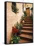 Tuscan Staircase, Italy-Walter Bibikow-Framed Stretched Canvas