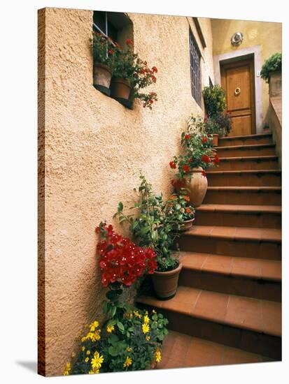 Tuscan Staircase, Italy-Walter Bibikow-Stretched Canvas