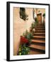 Tuscan Staircase, Italy-Walter Bibikow-Framed Premium Photographic Print