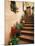 Tuscan Staircase, Italy-Walter Bibikow-Mounted Premium Photographic Print