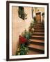 Tuscan Staircase, Italy-Walter Bibikow-Framed Photographic Print