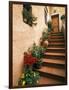 Tuscan Staircase, Italy-Walter Bibikow-Framed Photographic Print