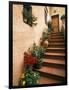 Tuscan Staircase, Italy-Walter Bibikow-Framed Photographic Print