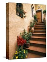 Tuscan Staircase, Italy-Walter Bibikow-Stretched Canvas