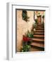 Tuscan Staircase, Italy-Walter Bibikow-Framed Photographic Print