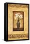 Tuscan Still Life I-Eduardo Moreau-Framed Stretched Canvas