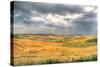 Tuscan Storm I-Robert Goldwitz-Stretched Canvas