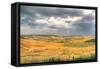 Tuscan Storm I-Robert Goldwitz-Framed Stretched Canvas