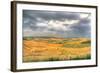 Tuscan Storm I-Robert Goldwitz-Framed Photographic Print