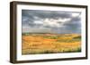 Tuscan Storm I-Robert Goldwitz-Framed Photographic Print