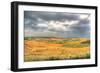 Tuscan Storm I-Robert Goldwitz-Framed Photographic Print