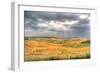 Tuscan Storm I-Robert Goldwitz-Framed Photographic Print