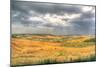 Tuscan Storm I-Robert Goldwitz-Mounted Photographic Print