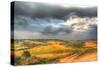 Tuscan Storm II-Robert Goldwitz-Stretched Canvas