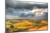 Tuscan Storm II-Robert Goldwitz-Mounted Photographic Print