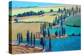 Tuscan Summer, 2021 (acrylic on board)-Paul Powis-Stretched Canvas