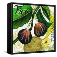 Tuscan Sun Figs-Jennifer Garant-Framed Stretched Canvas