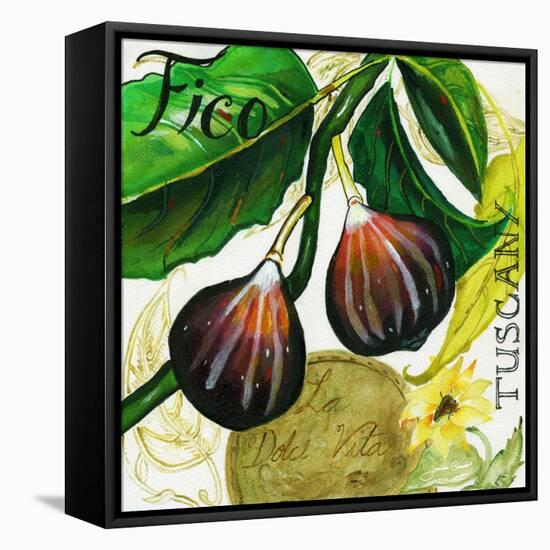 Tuscan Sun Figs-Jennifer Garant-Framed Stretched Canvas